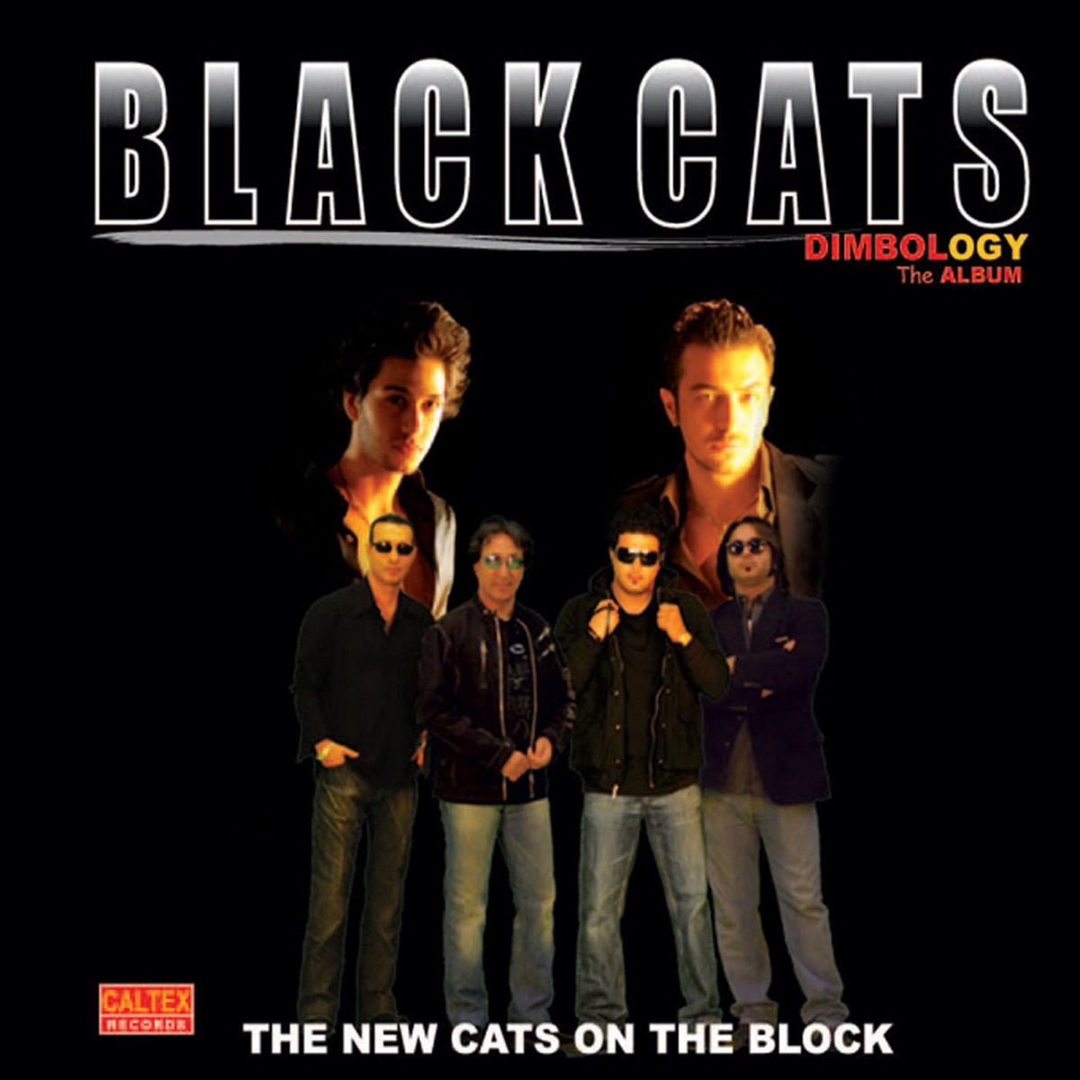 Dimbology - Persian Music by Black Cats album cover
