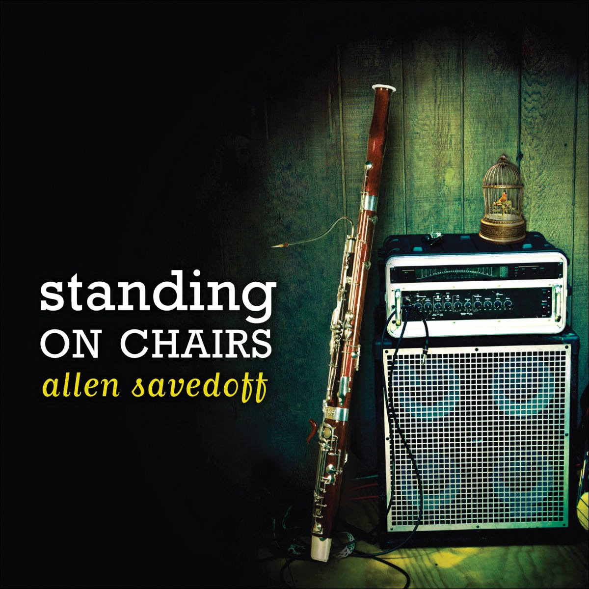 Standing On Chairs by Allen Savedoff album cover