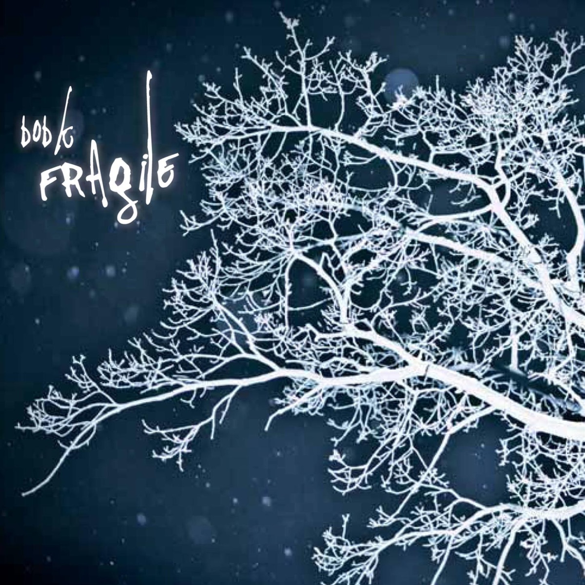Fragile by Bob K album cover