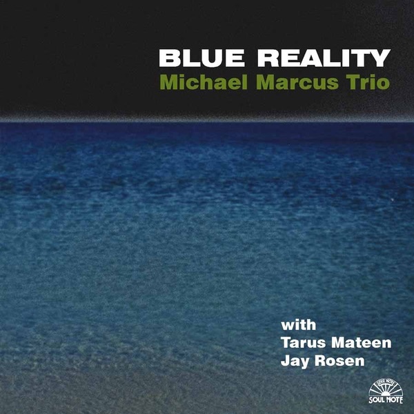 Blue Reality (With Tarus Mateen & Jay Rosen) by Michael Marcus Trio album cover