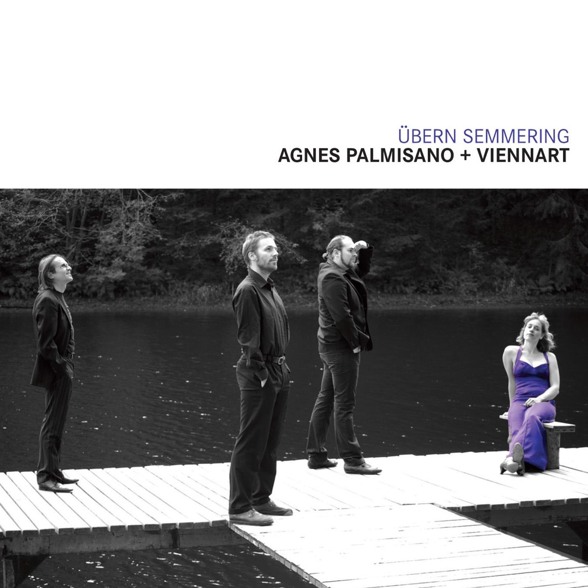Agne Palmisano + Viennart - Übern Semmering by Agnes Palmisano & Viennart album cover