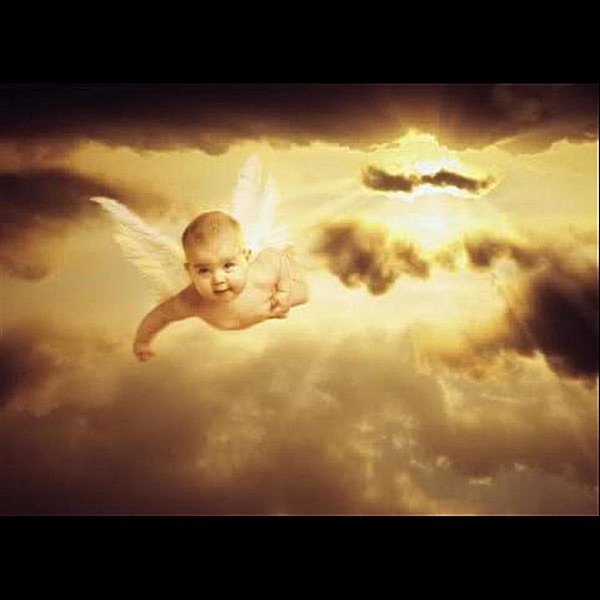 Baby Caylee Fly Away - Single by Lawrence Brown album cover