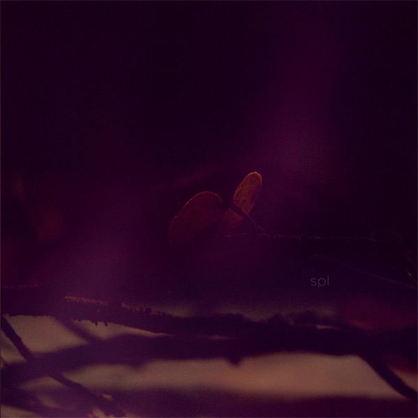 Spl by SPL album cover