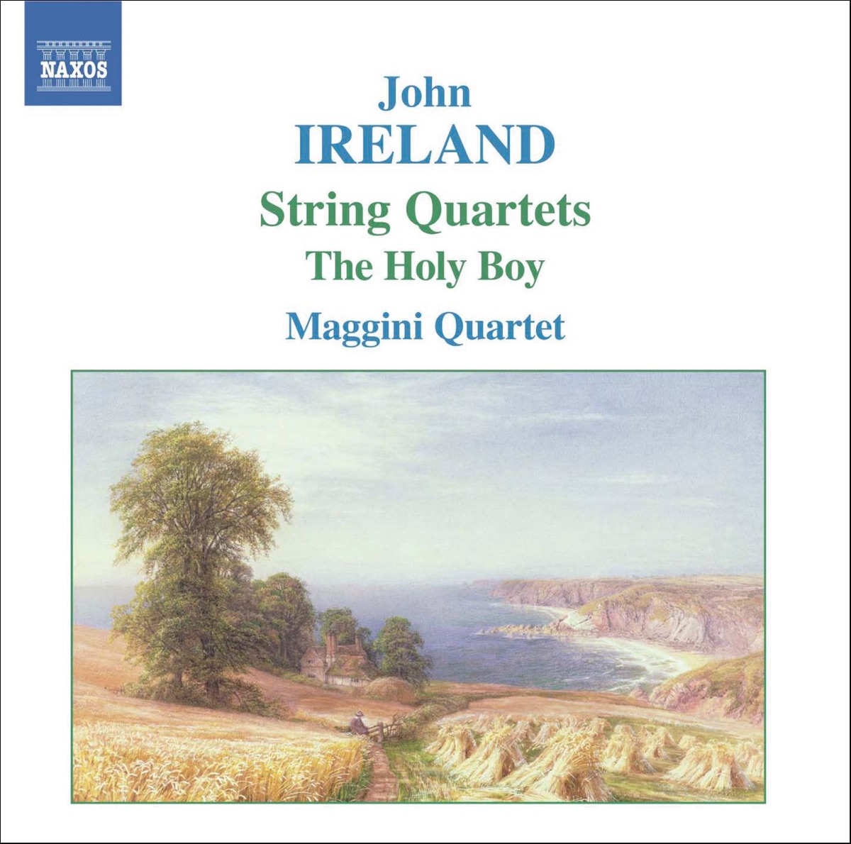 Ireland: String Quartets by David Angel, Laurence Jackson, Maggini Quartet, Martin Outram & Michael Kaznowski album cover