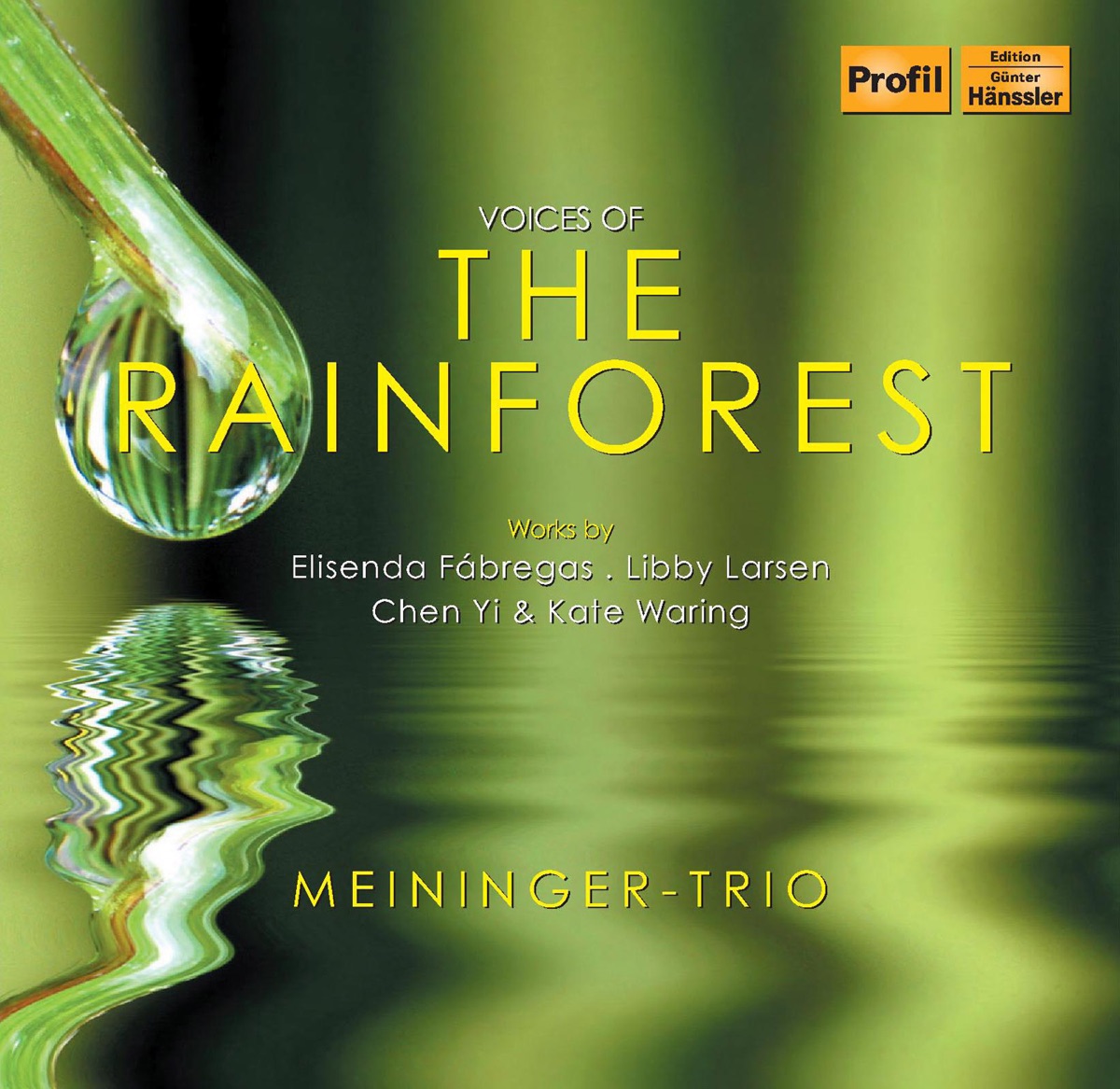 Voices of the Rainforest by Meininger Trio album cover