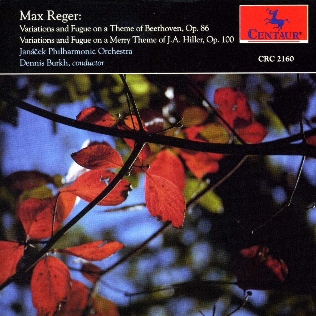 Reger: Variations and Fugue on a Theme of Beethoven - Variations and Fugue on a Theme of J.A. Hiller by Dennis Burkh & Janáček Philharmonic Orchestra album cover