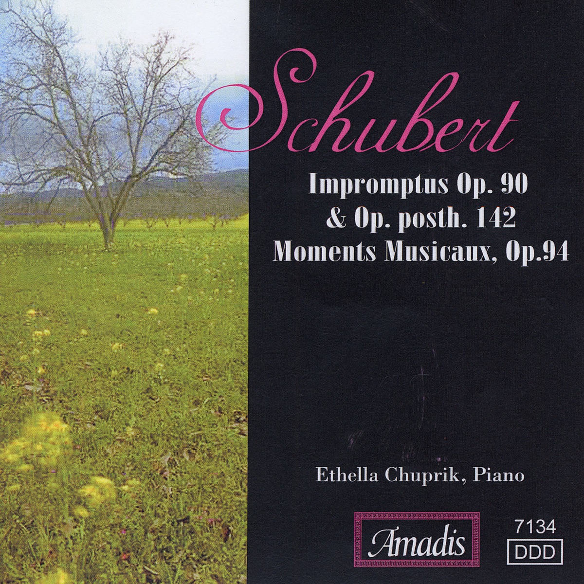 Schubert, F.: 6 Impromptus - 6 Moments Musicaux (Excerpts) by Ethella Chuprik album cover