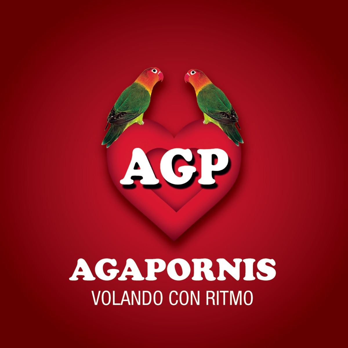 Agapornis - Volando Con Ritmo by Agapornis album cover