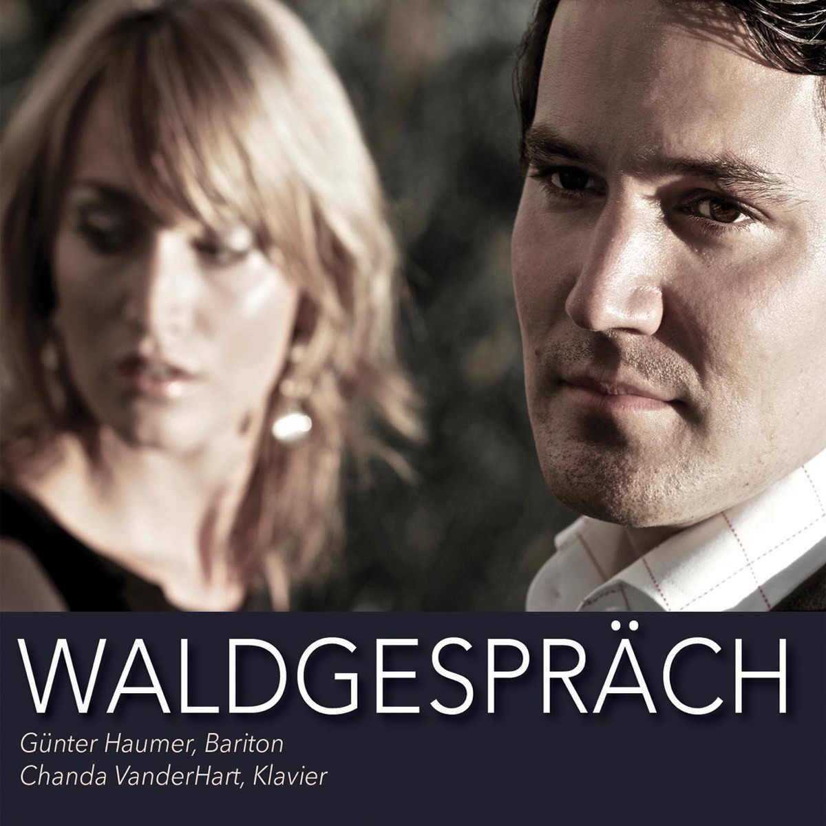 Waldgespräch by Günter Haumer & Chanda VanderHart album cover