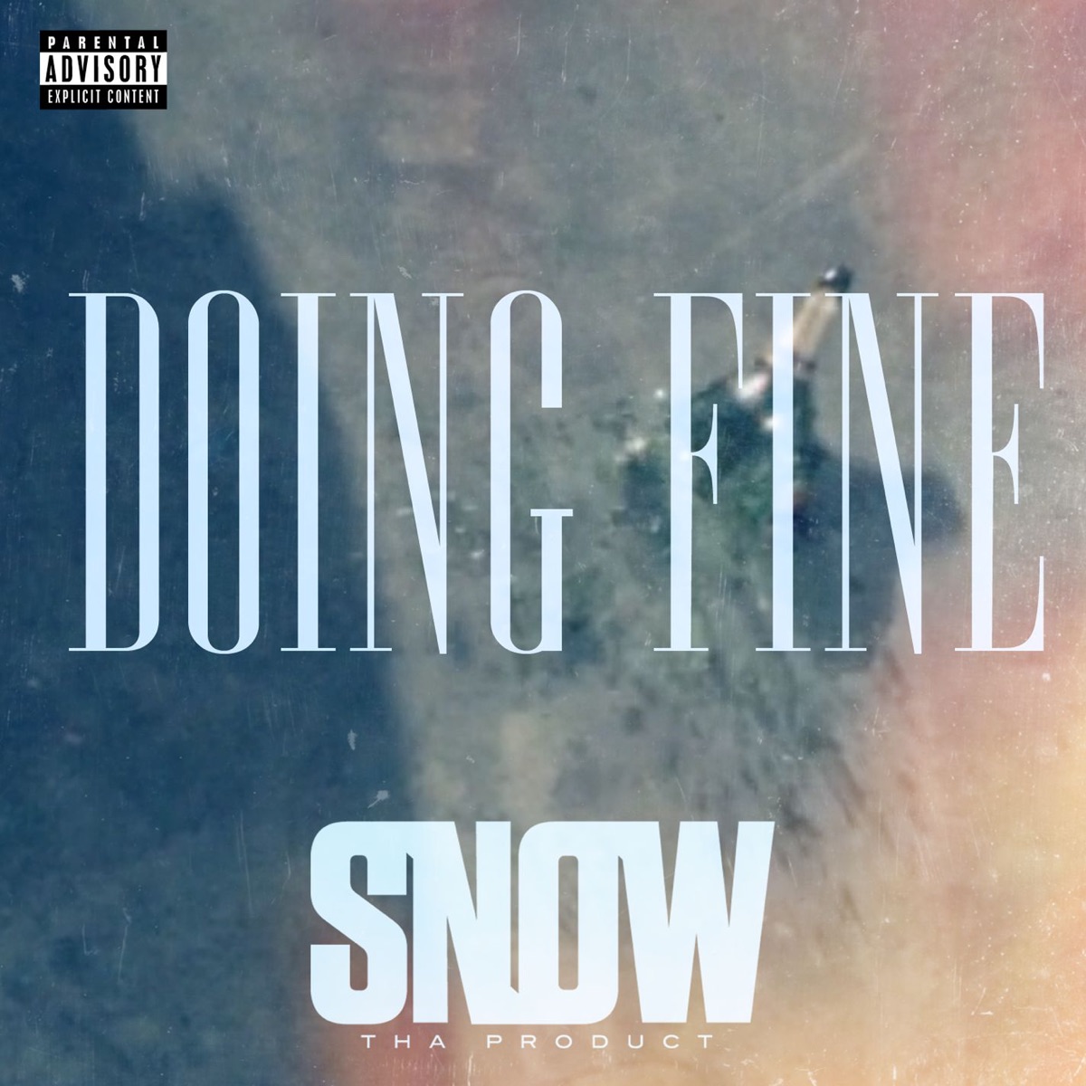 Doing Fine - Single by Snow Tha Product album cover