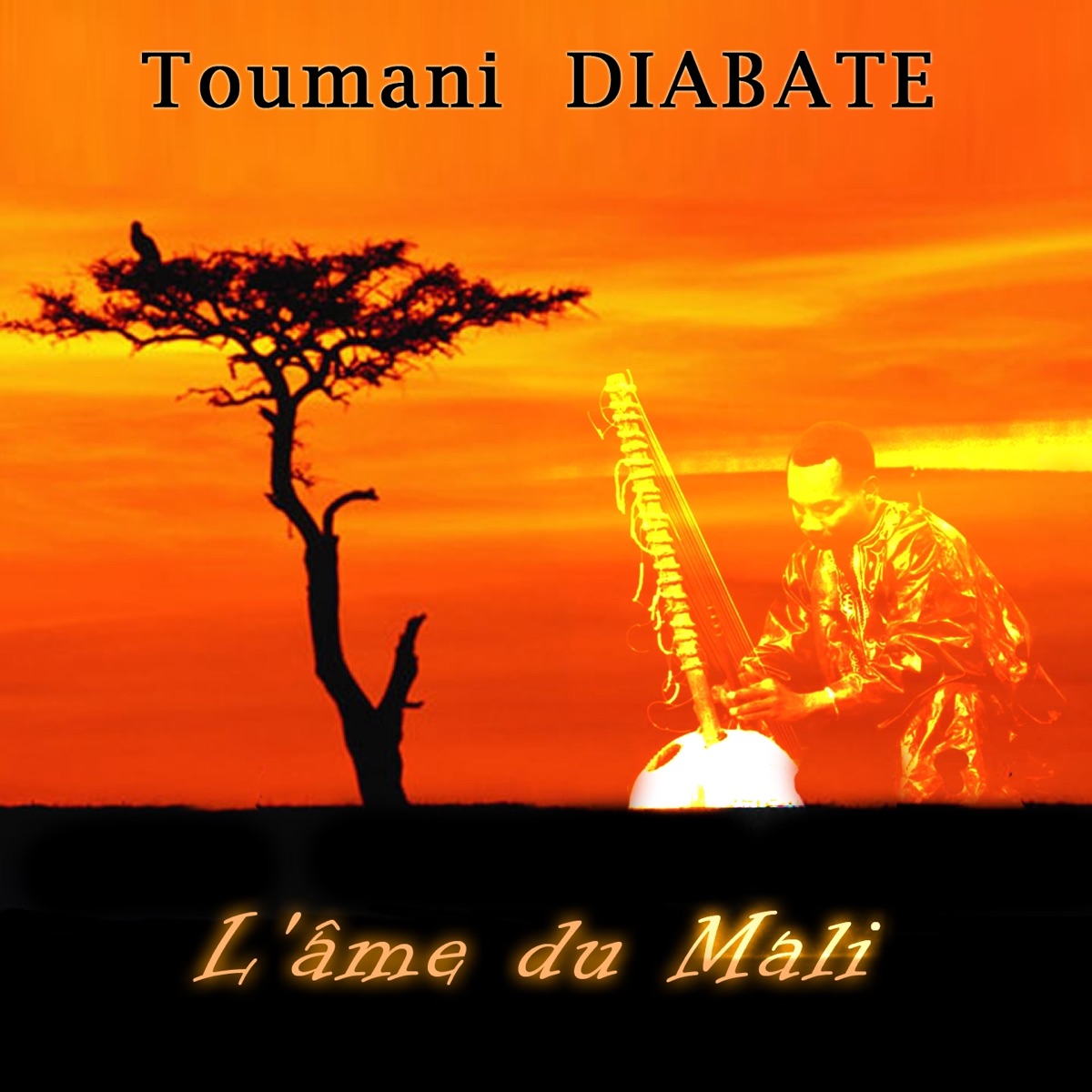L'âme du Mali by Toumani Diabate album cover