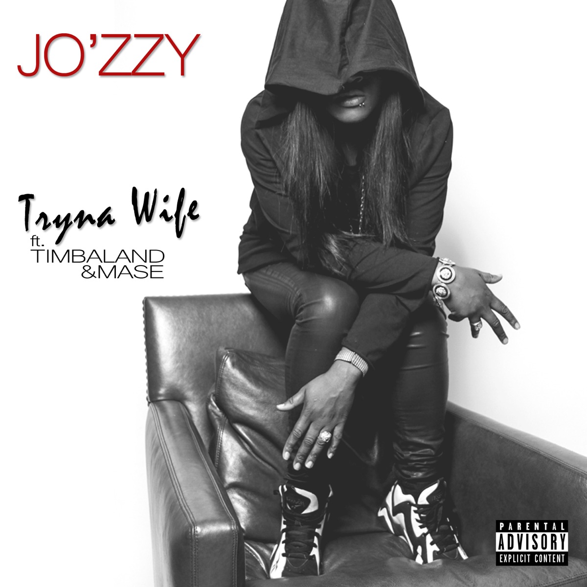 Tryna Wife (feat. Timbaland & Mase) - Single by Jozzy album cover