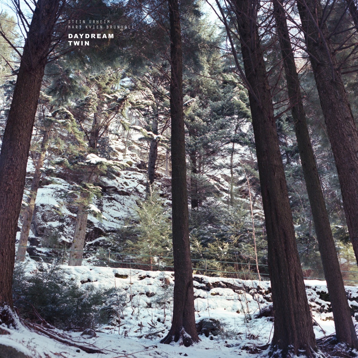 Daydream Twin by Stein Urheim & Mari Kvien Brunvoll album cover