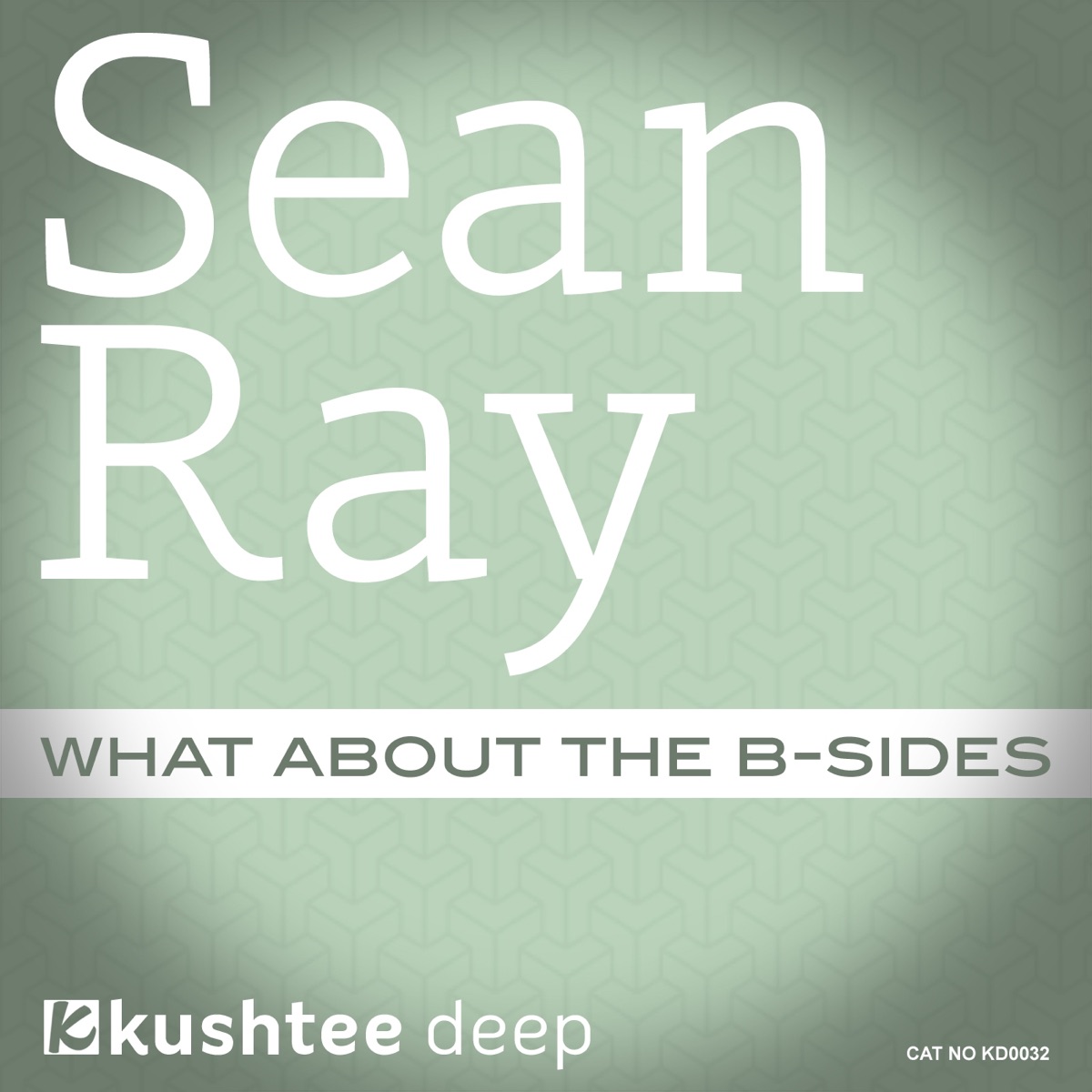 What About the B-Sides - Single by Sean Ray album cover