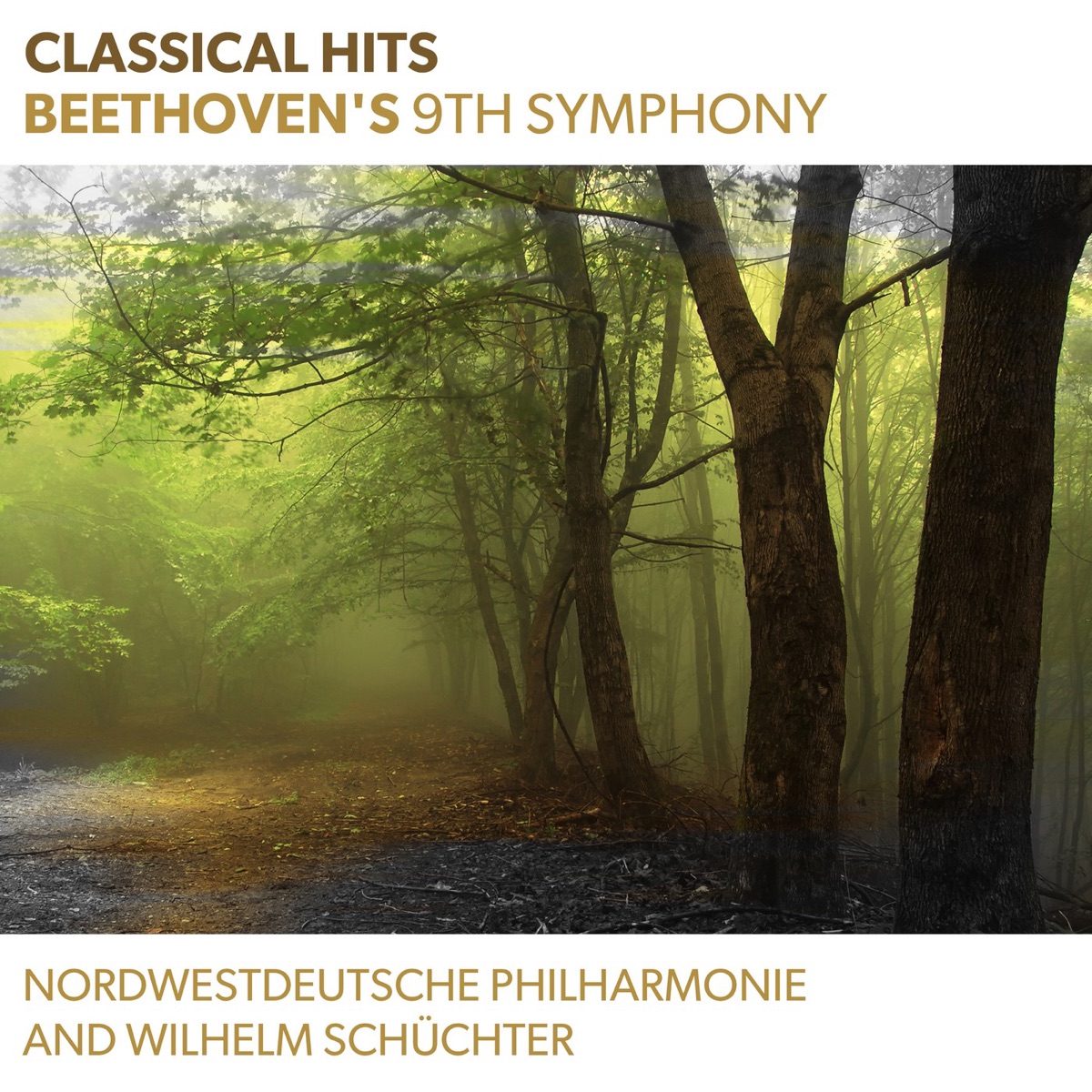 Classical Hits - Beethoven's 9th Symphony by Nordwestdeutsche Philharmonie & Wilhelm Schüchter album cover
