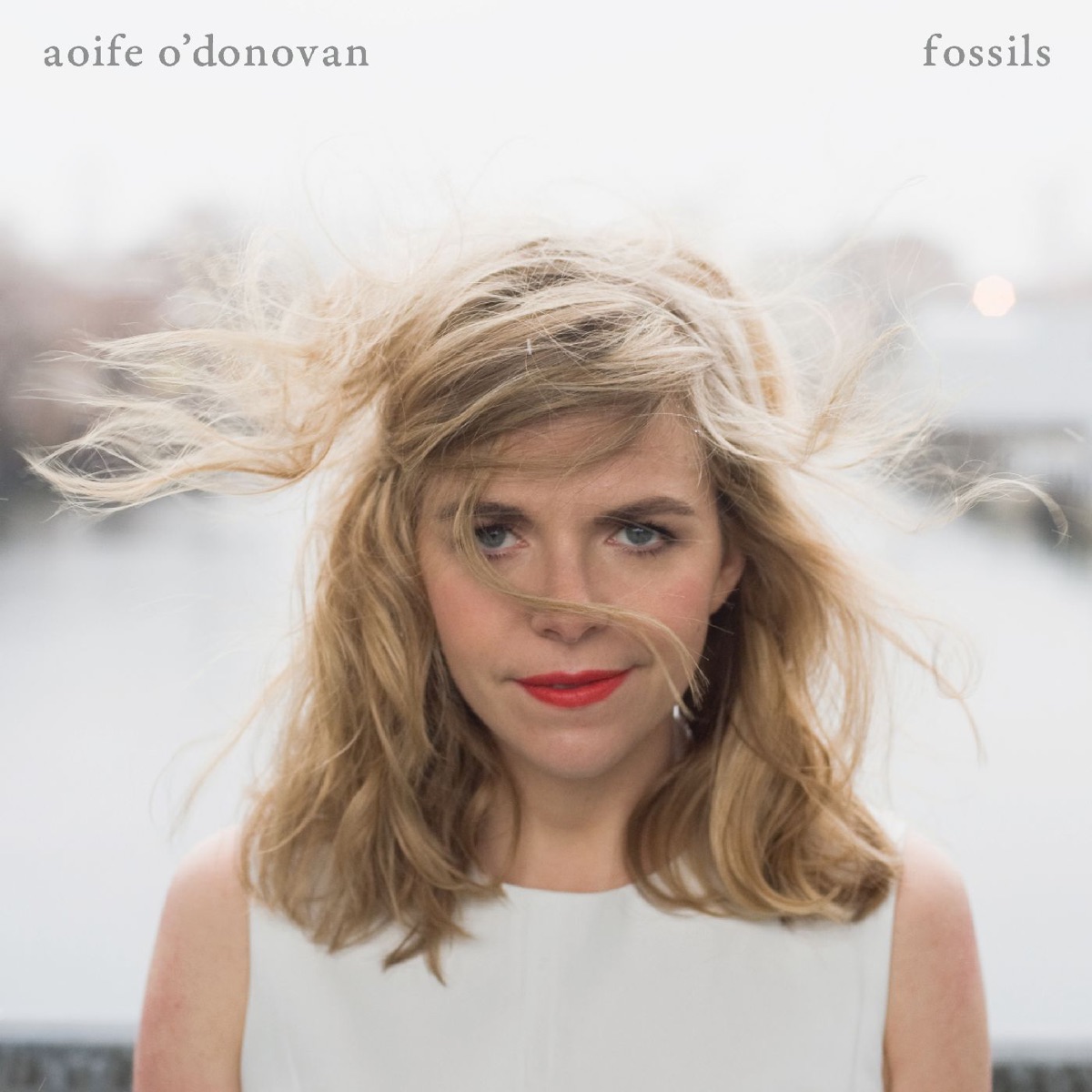 Fossils by Aoife O'Donovan album cover