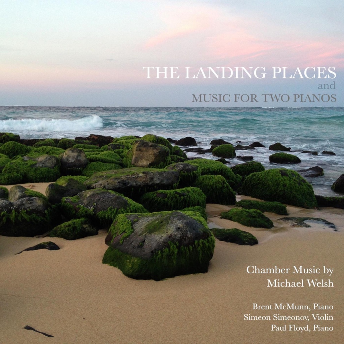 Michael Welsh: The Landing Places by Brent McMunn, Simeon Simeonov & Paul Floyd album cover