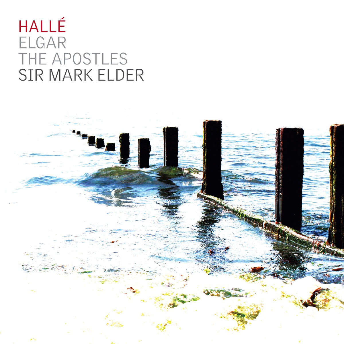 Elgar: The Apostles, Op. 49 by Hallé, Sir Mark Elder, Rebecca Evans, Alice Coote, Paul Groves, Jacques Imbrailo, David Kempster, Brindley Sherratt, Sean Boyes, Thomas Kelly, Timothy Langston, Thomas Morss, Adam Player, Stefan Berkieta, Matthew Kellett, Graham McCusker, Daniel Shelvey, Hallé Choir & Hallé Youth Choir album cover