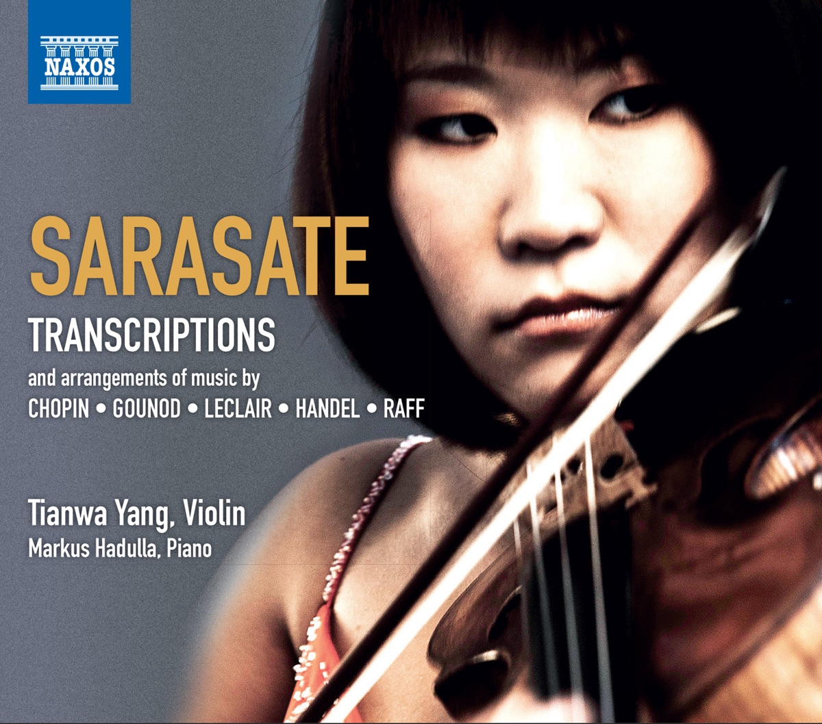 Sarasate: Violin & Piano Music, Vol. 4 by Tianwa Yang & Markus Hadulla album cover