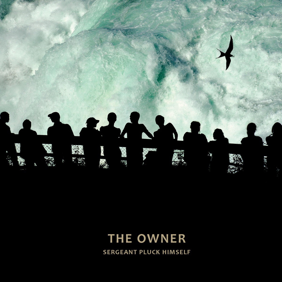 The Owner by Sergeant Pluck Himself album cover