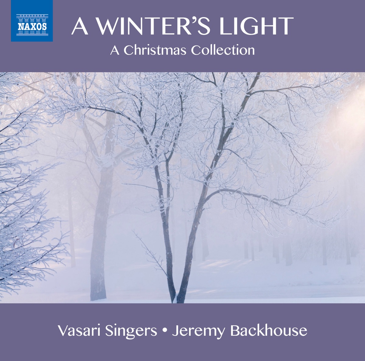 A Winter's Light: A Christmas Collection by Jeremy Backhouse & Vasari Singers album cover