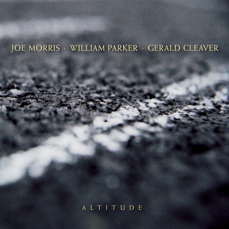 Altitude by Joe Morris, William Parker & Gerald Cleaver album cover