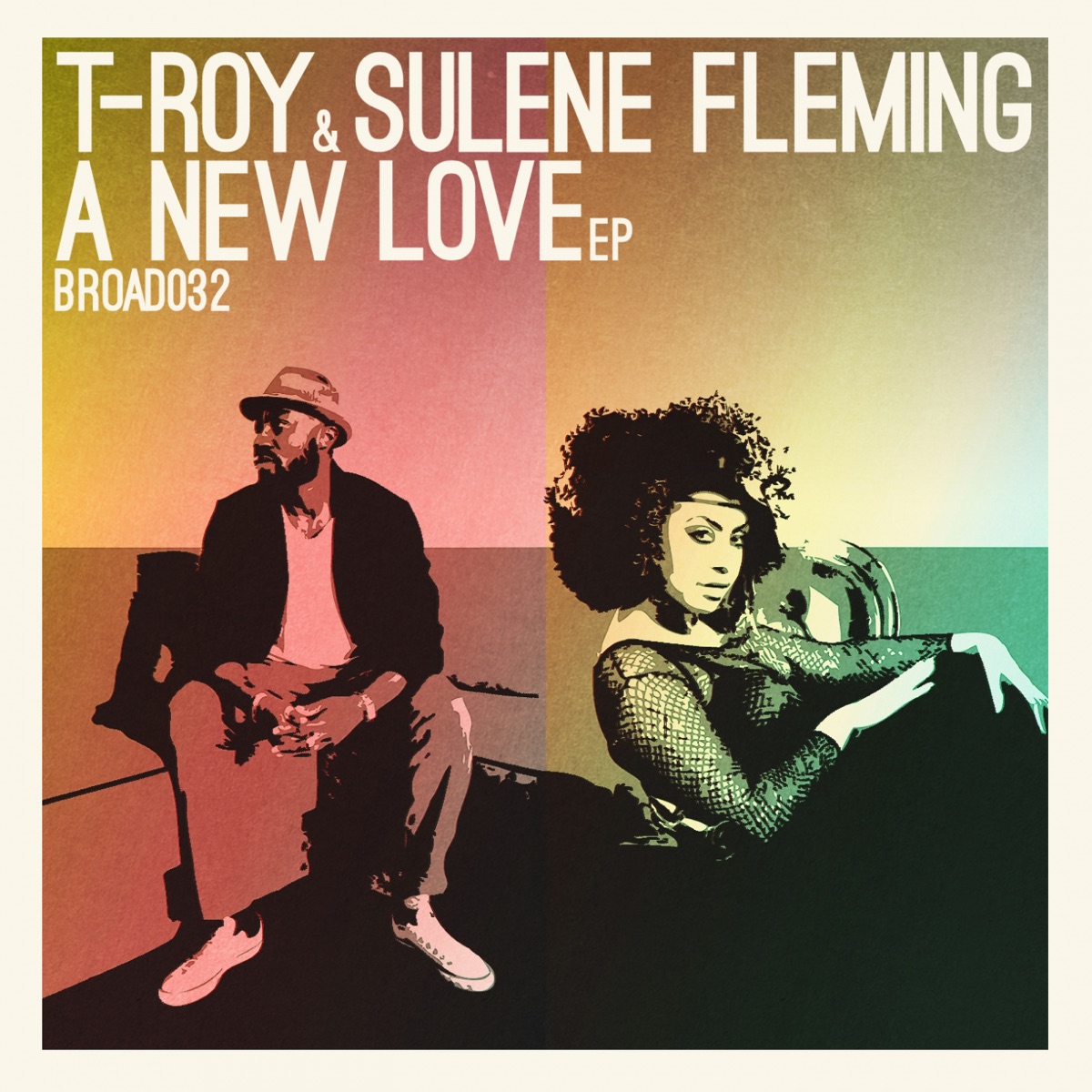 A New Love (feat. Sulene Fleming) - Single by T-Roy album cover