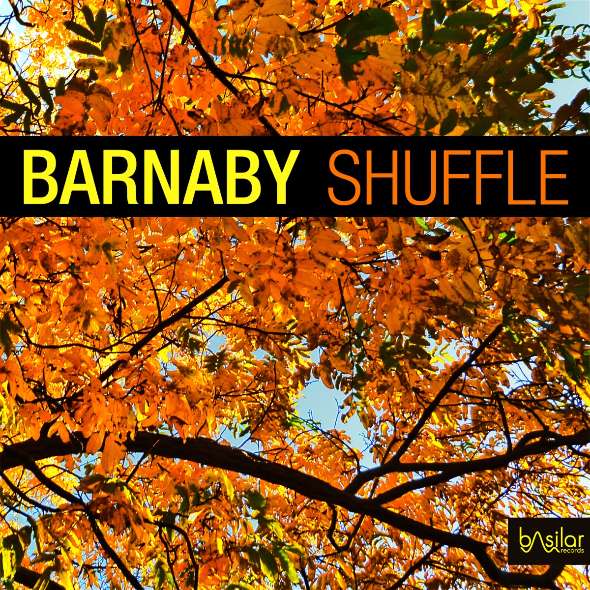 Shuffle - Single by Barnaby album cover