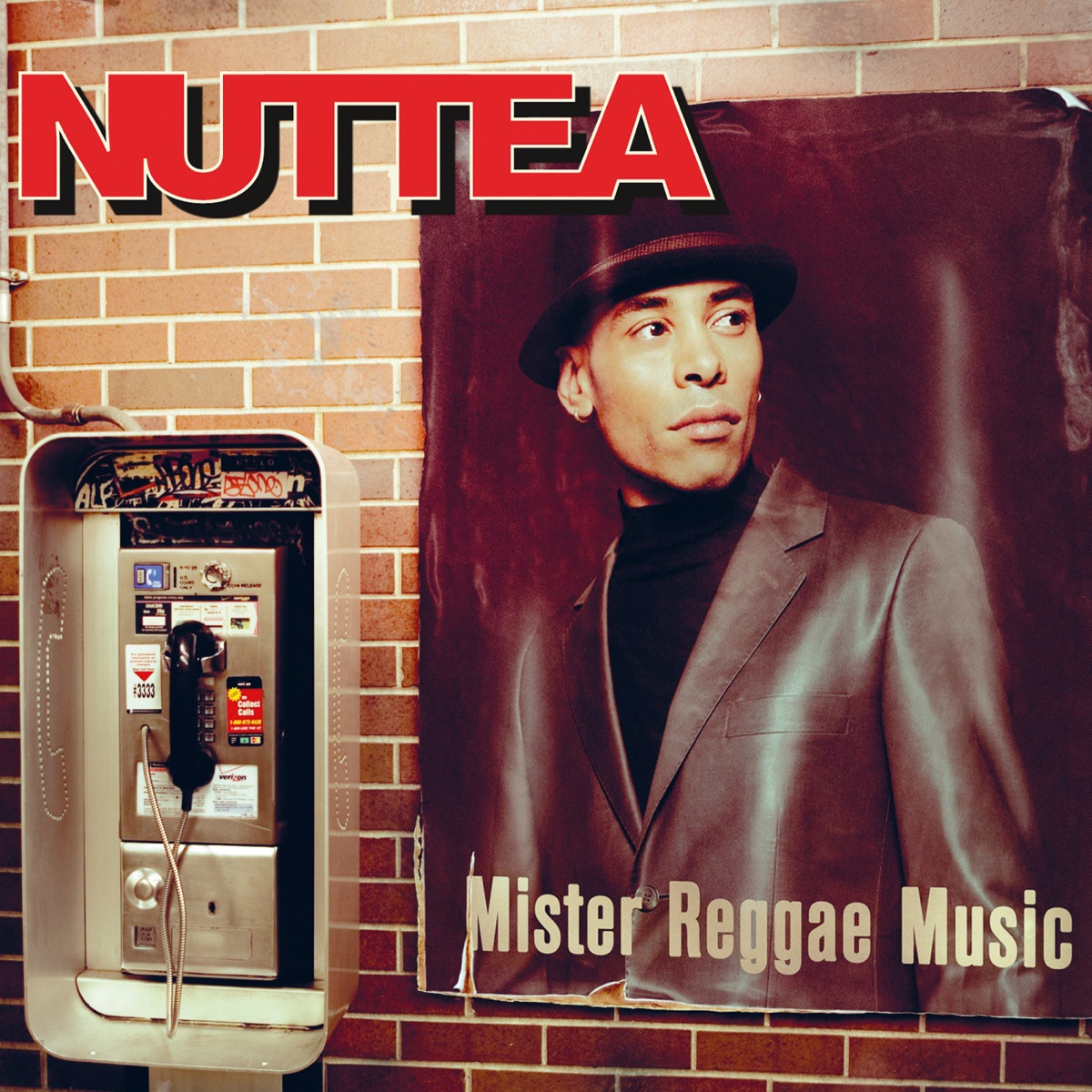 Mister Reggae Music by Nuttea album cover