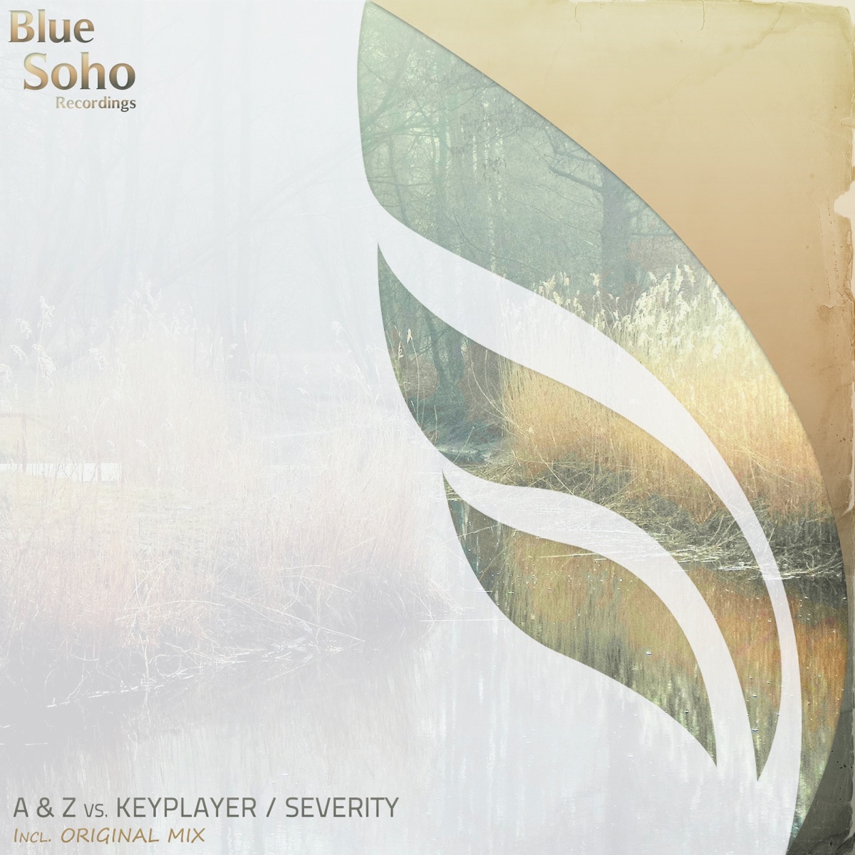 Severity (A & Z vs. Keyplayer) - Single by A & Z & KeyPlayer album cover