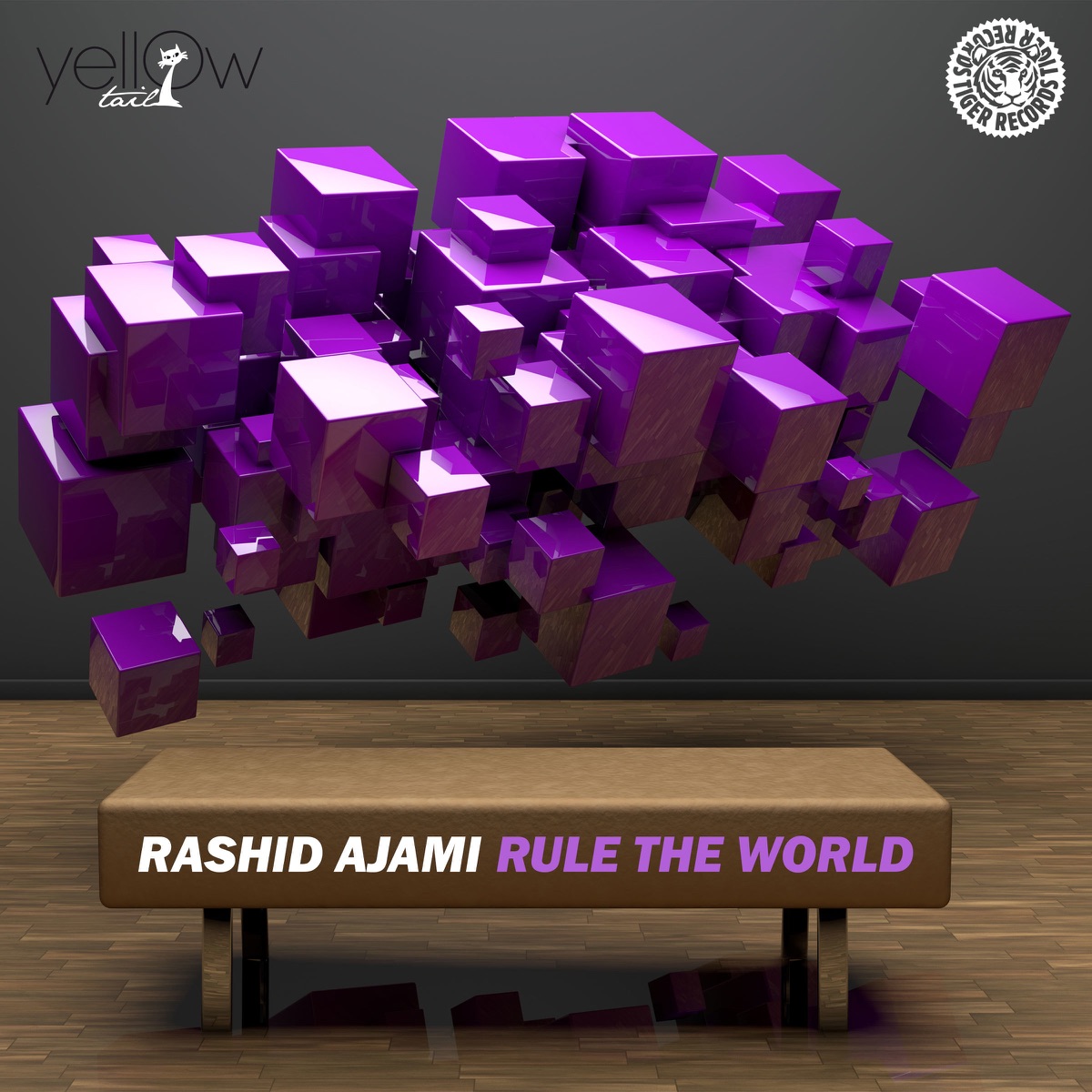Rule the World - Single by Rashid Ajami album cover