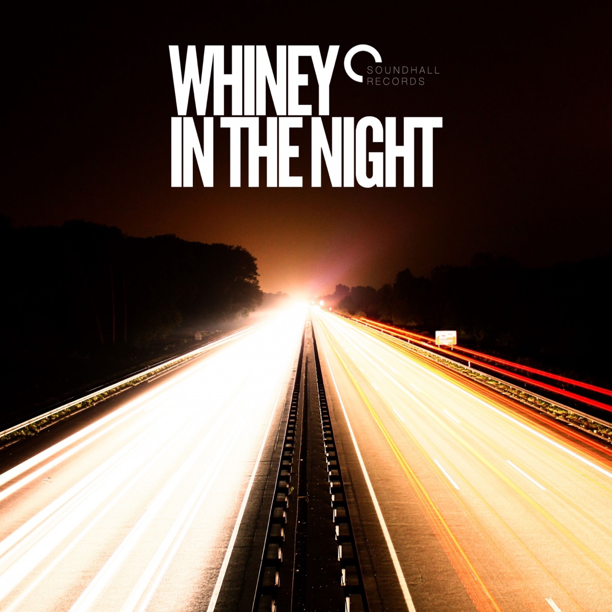 In the Night - EP by Whiney album cover