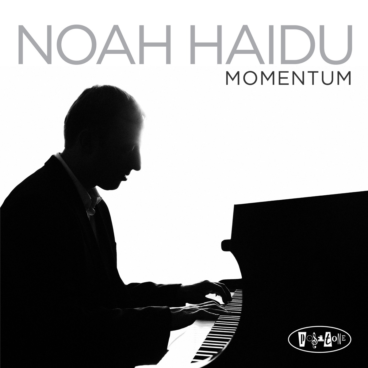 Momentum by Noah Haidu album cover
