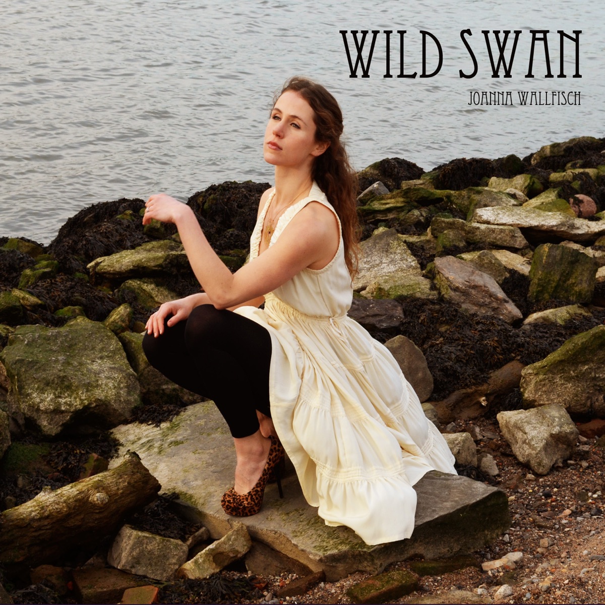 Wild Swan by Joanna Wallfisch album cover