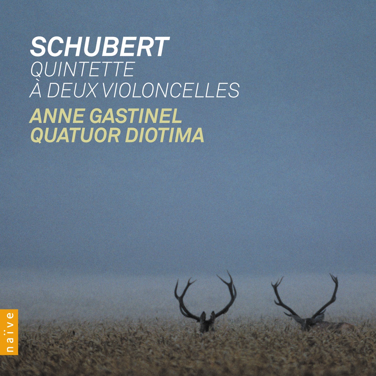 Schubert: Quintette à deux violoncelles by Anne Gastinel & Quatuor Diotima album cover