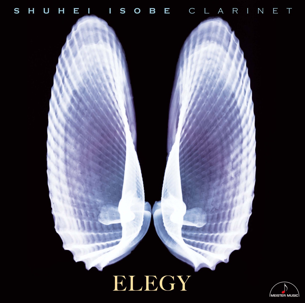 Elegy by Shuhei Isobe & Fumiko Oshima album cover