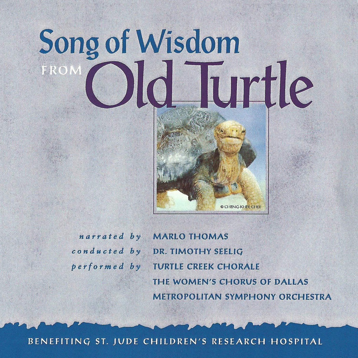 Song of Wisdom from Old Turtle by Metropolitan Symphony Orchestra, Turtle Creek Chorale, The Women's Chorus of Dallas & Tim Seelig album cover