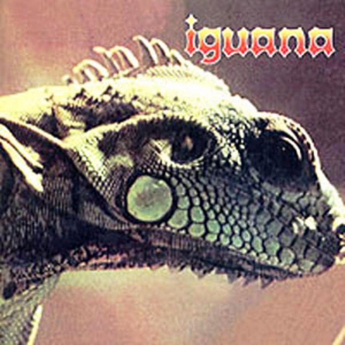 Iguana by Iguana album cover