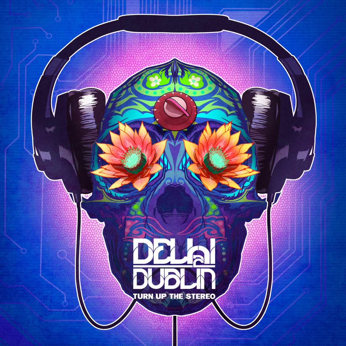 Turn Up the Stereo by Delhi 2 Dublin album cover
