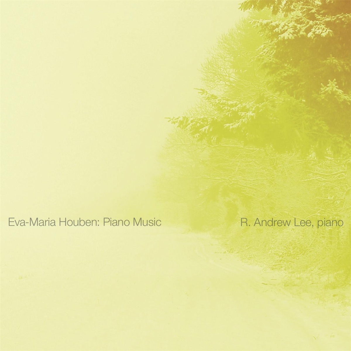 Eva-Maria Houben: Piano Music by R. Andrew Lee album cover