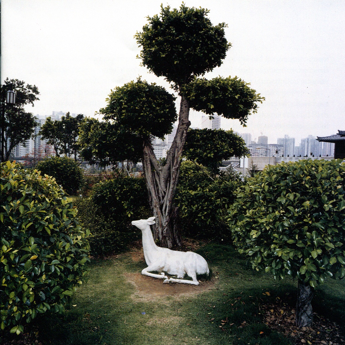 Giants : music for lute and harp by Margret Köll & Luca Pianca album cover