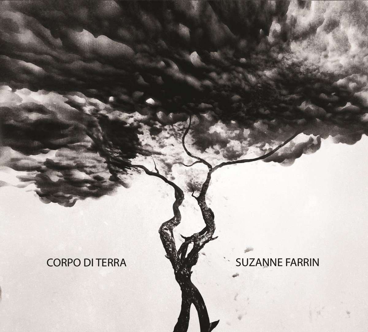 Corpo di Terra by Nuiko Wadden, Calvin Wiersma, Antoine Tamestit, Markus Hadulla, Joshua Rubin & Julia Lichten album cover