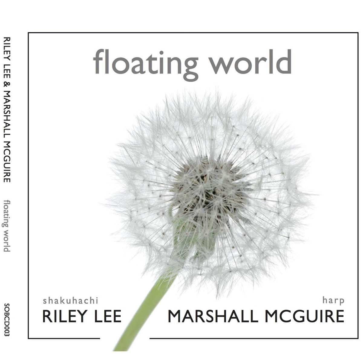 Floating World by Riley Lee & Marshall McGuire album cover