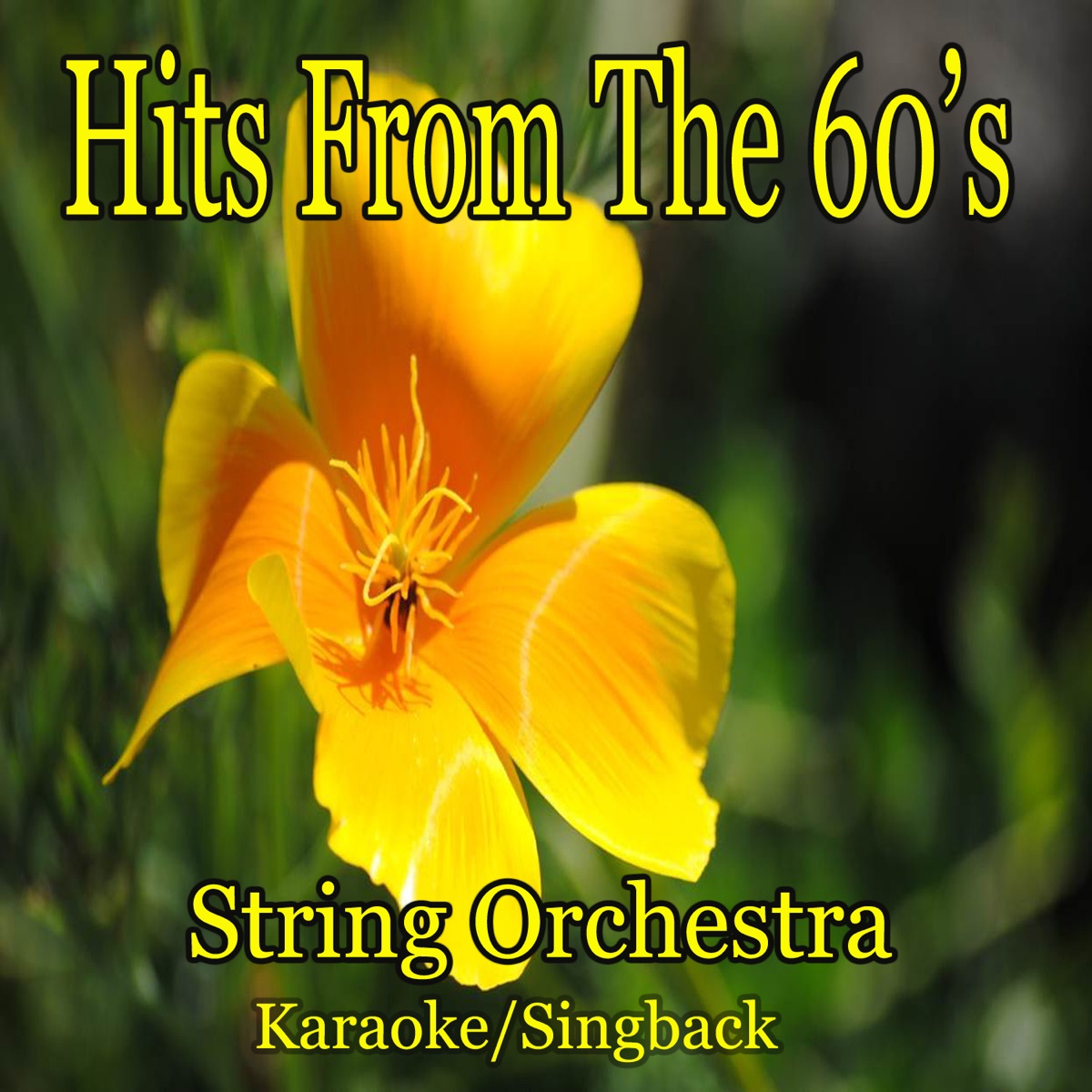 Hits from the 60's (Instrumental) by String Orchestra album cover