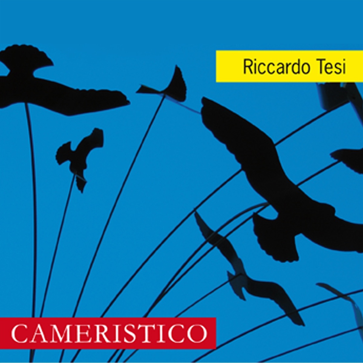 Cameristico by Riccardo Tesi album cover