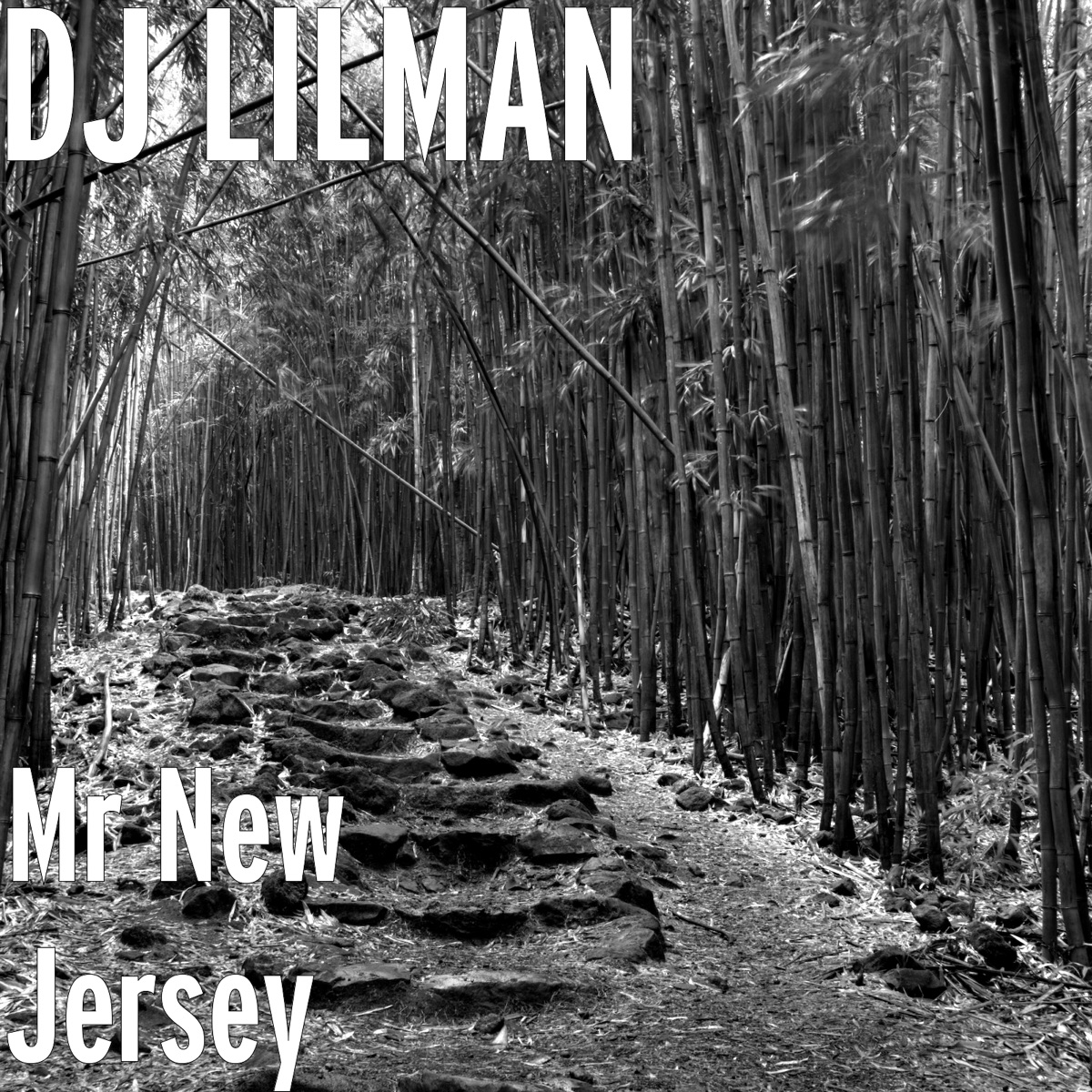 Mr New Jersey by DJ Lilman album cover