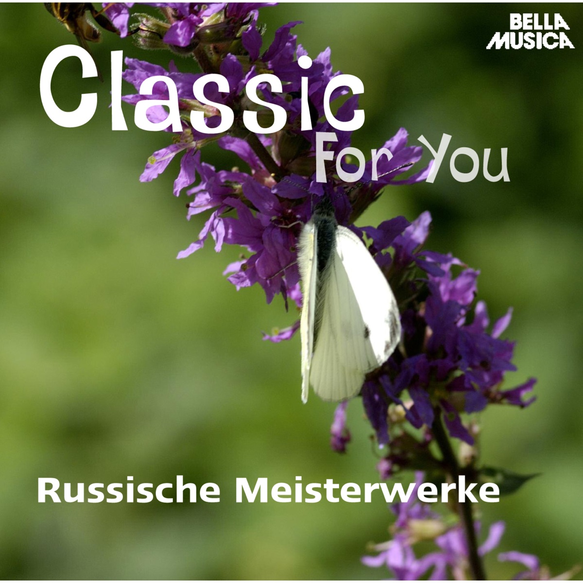 Russische Meisterwerke by New Philharmonic Orchestra London, Slowakische Philharmonie, Laurence Siegel & Vladimir Verbitsky album cover