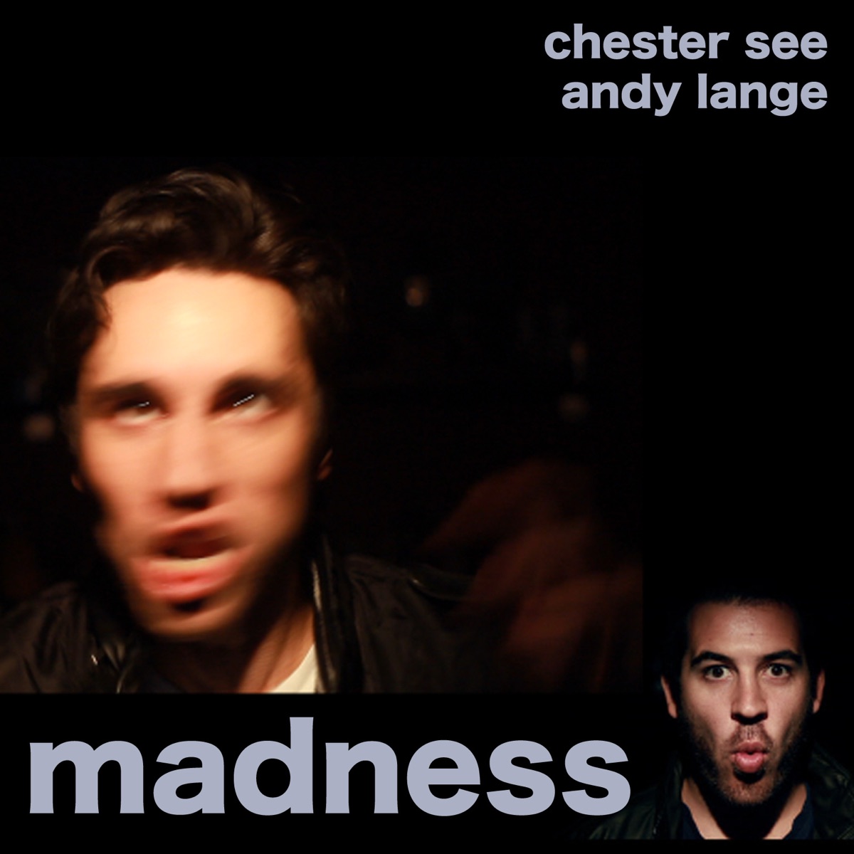Madness - Single by Chester See & Andy Lange album cover