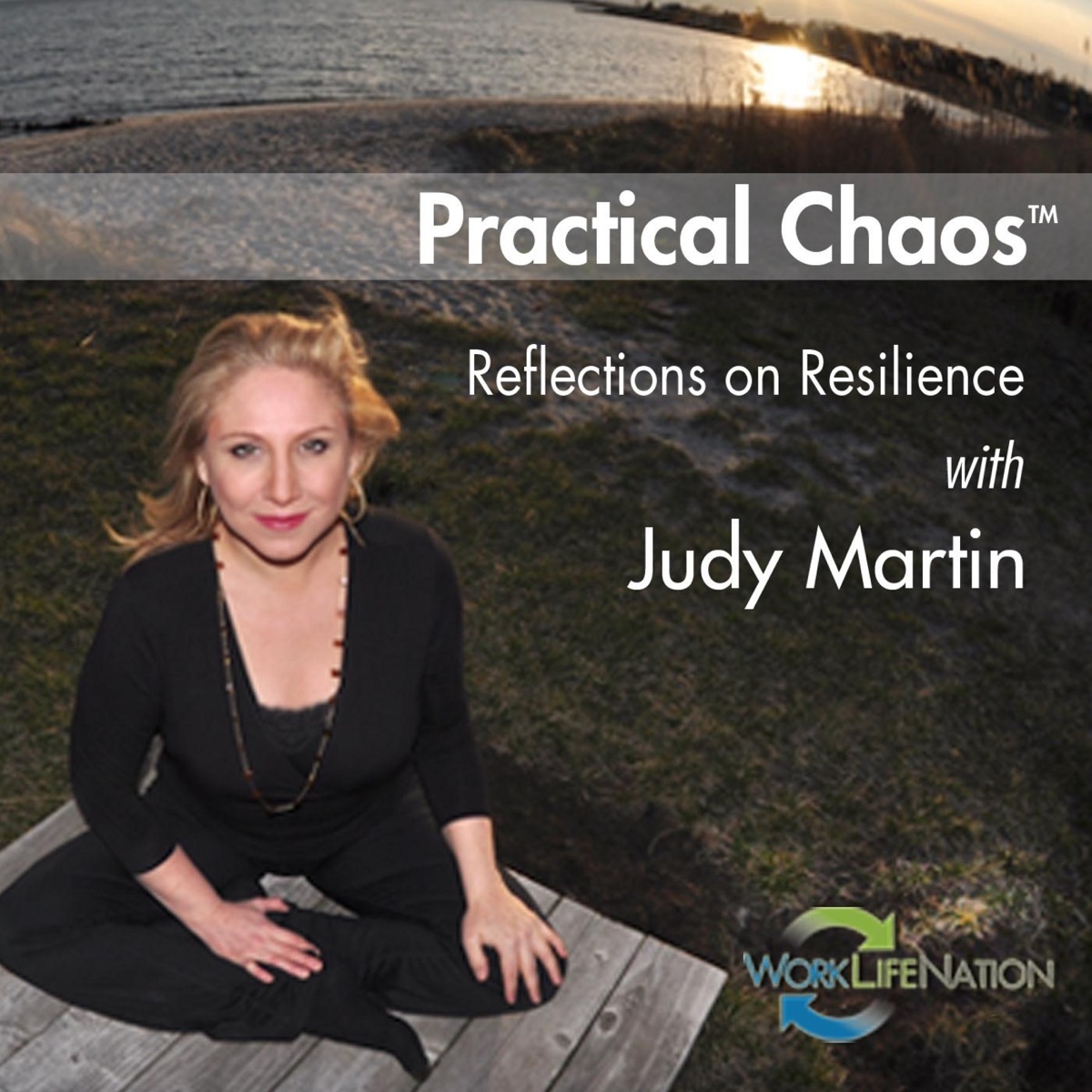 Practical Chaos (Reflections on Resilience) by Judy Martin album cover