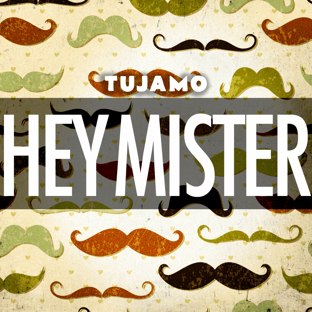 Hey Mister - Single by Tujamo album cover